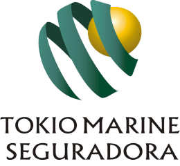tokio_marine-removebg-preview